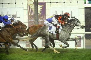 20090129_Silver Mist