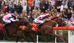 20090201_inspiration