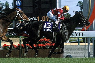 只用日高馬的練馬師