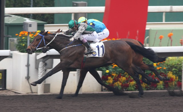 20090607_Natural_Nine