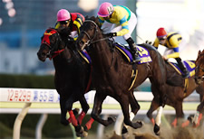 20091229_Success_Brocken