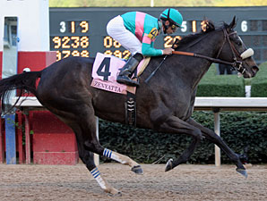 歷史名駒系列，遇上良好時機的膠沙地女傑信雅達