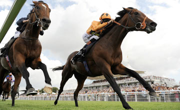 20100728_Canford_Cliffs