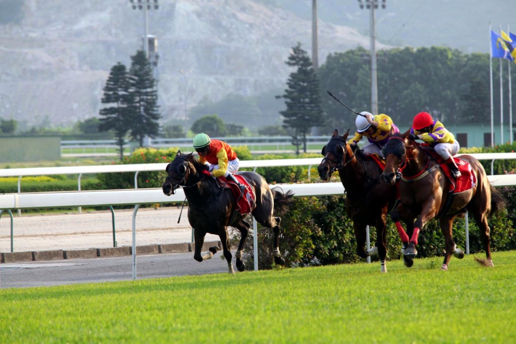 濠江賽馬到本年3月31日結束
