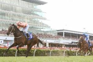 魚子精華在2010年贏於柏天勒育馬場經典賽後才廣為馬迷所知。 Source: Herald Sun