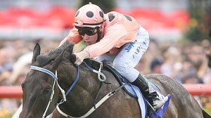 20110219_Black_Caviar