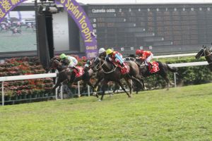 20110528_Tron_Kingdom