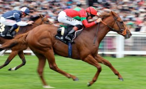 20110615_Strong_Suit