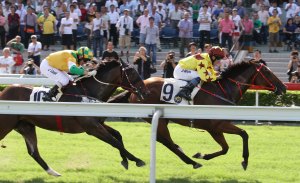 20110619_Sichuan_Success