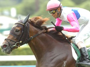 20110814_Tokai_Mystery