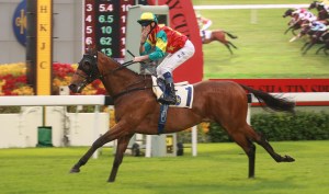 20111001_Ambitious_Dragon