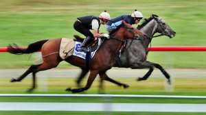 20111010_Drunken_Sailor