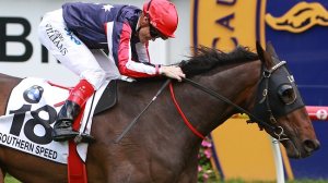 [簡訊]考菲爾德盃冠軍南方快駒退役 – Flameracing