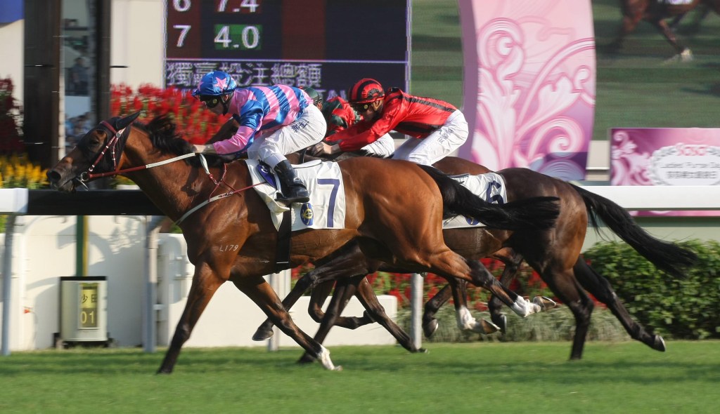 婦女銀袋賽,大摩順利曬冷