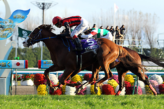 20111120_Eishin_Apollon