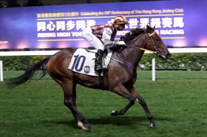 20150506_Romantic-Touch-W800