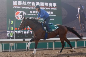 20111207_Trailblazer