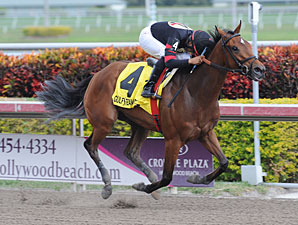 名雌Awesome Feather離世，相隔一個多月日本未有通報