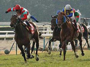 20120212_Trailblazer