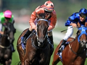 20120218_Black_Caviar