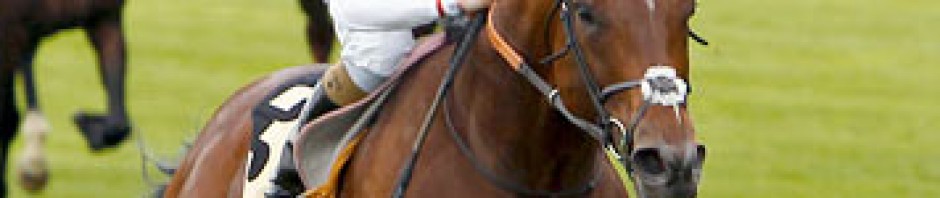 十四週年，該如何前進