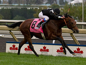 20121014_Joshua_Tree