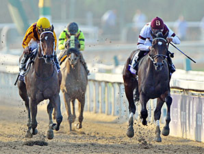 20121102_Royal_Delta