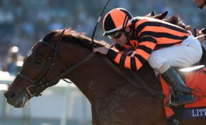 20121103_Little_Mike