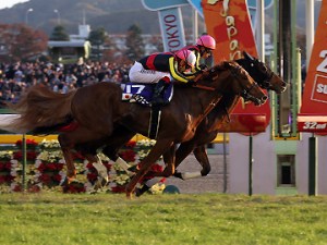 20121125_Gentildonna