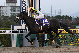 20121202_Nihonpiro_Ours