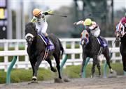 20121202_Nihonpiro_Ours_2