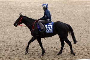 20121204_Glorious_Days