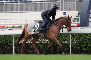 20121205_Dancing_Rain