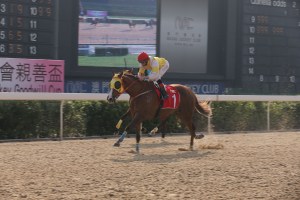 20121208_Elderly_Paradise