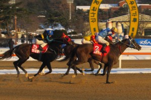 20121209_Gamdonguibada