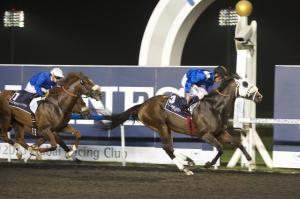 20130110_ Barbecue_Eddie