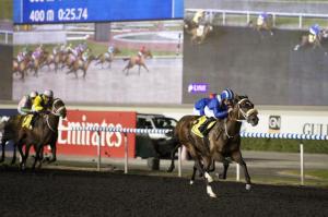 20130117_Soft_Falling_Rain