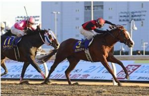 20130130_Hatano_Vainqueur