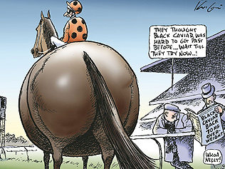 black caviar comic