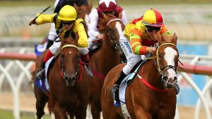 20130126_Miracles_of_Life