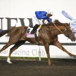 20130207_Hunters_Light