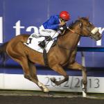 20130214_Moonwalk_In_Paris