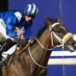 20130214_Soft_Falling_Rain