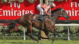 20130216_Black_Caviar