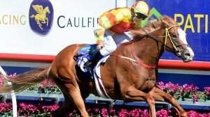 20130223_Miracles_of_Life