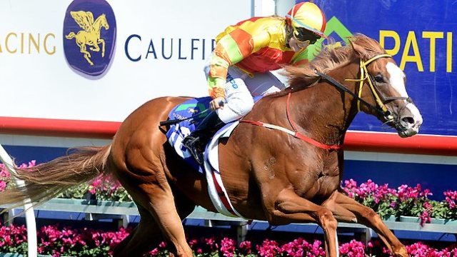 20130223_Miracles_of_Life