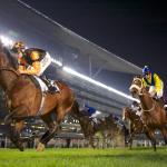 20130302_Trade_Storm