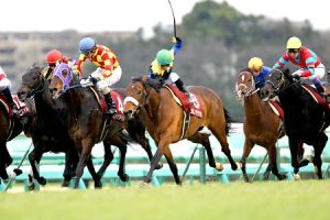 20130303_Camino_Tassajara