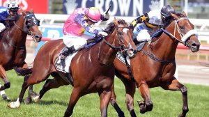 20130309_Shamexpress