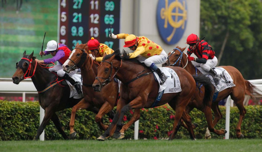 20130317_Akeed_Mofeed